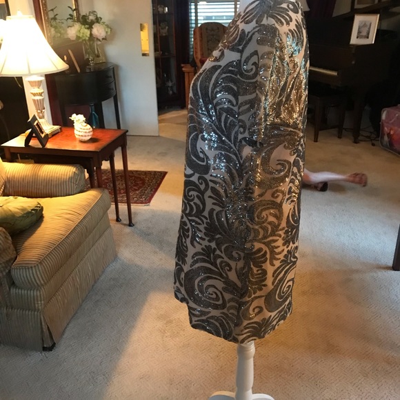 Ivory & Silver Shift Dress - Picture 14 of 15